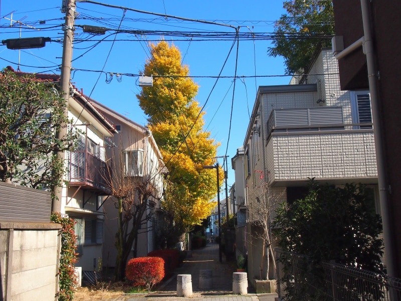 昔は遠くからも見える目印だったのかも