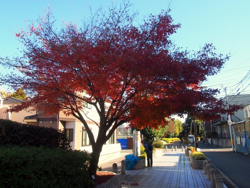桃園川の説明板などもある。