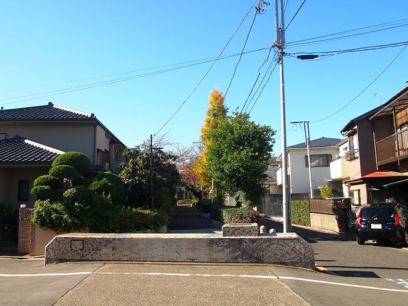 ここが川だったことがよく分かる。