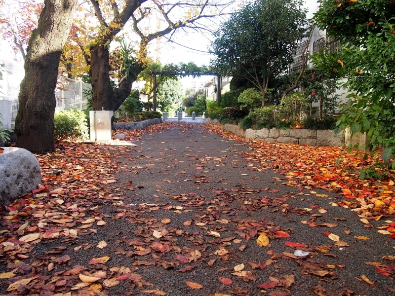歩くのが楽しくなる緑道だ