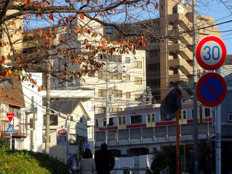 このあたりで、川は左に曲がり、目黒川をめざす