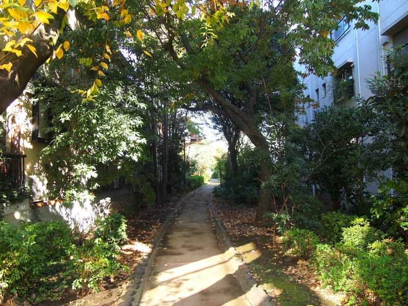 鳥のさえずりくらいしか聞こえない