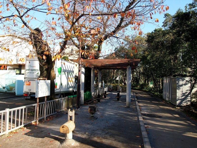 桜の並木が続いている