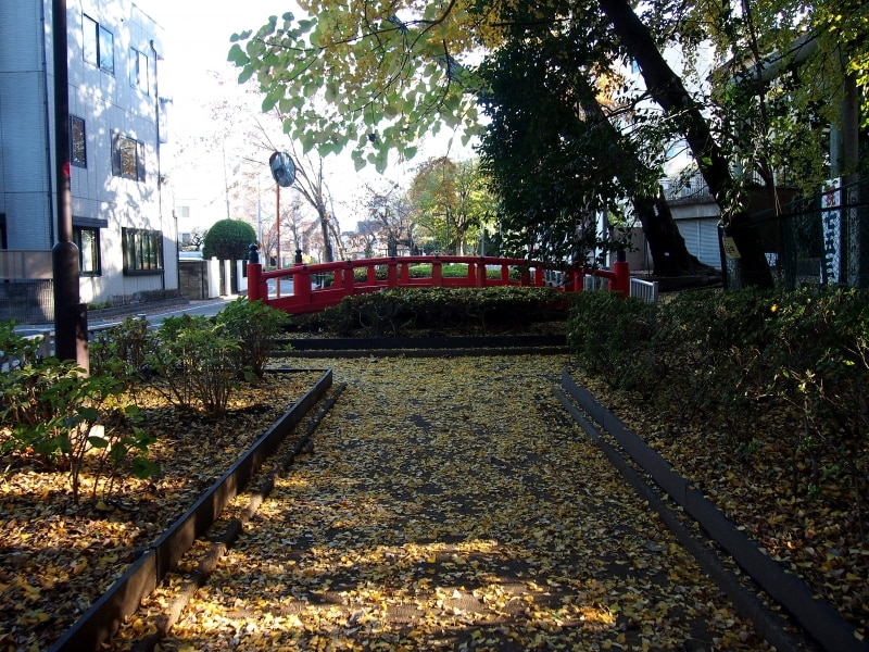 改めて自分が川の跡を歩いていることを感じる