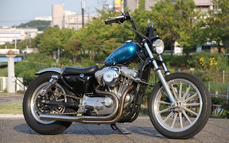 ある程度カスタムの幅を持たせたチョッパースタイルなら、リジッドスポーツが向いています