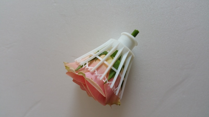 バトミントンの羽とイルゼ