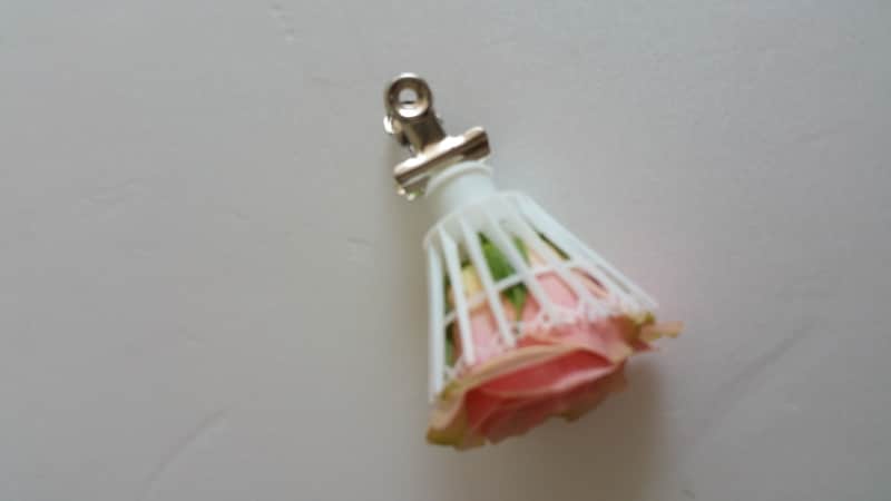 バトミントンの羽とイルゼ