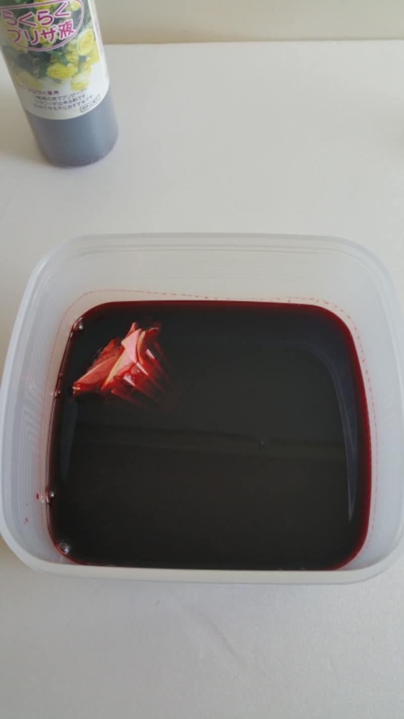 らくらくプリザ液とイルゼ