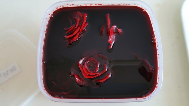 らくらくプリザ液とイルゼを浸けたところ