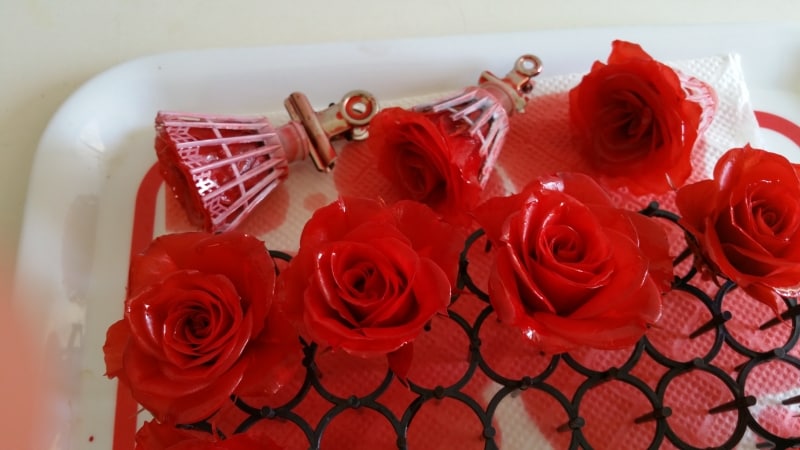 イルゼを乾かす