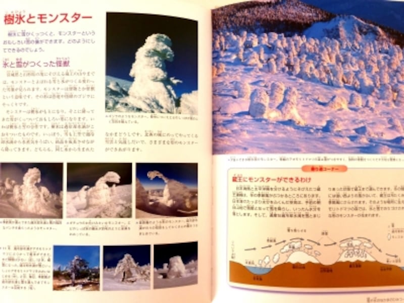 樹氷とモンスターの写真