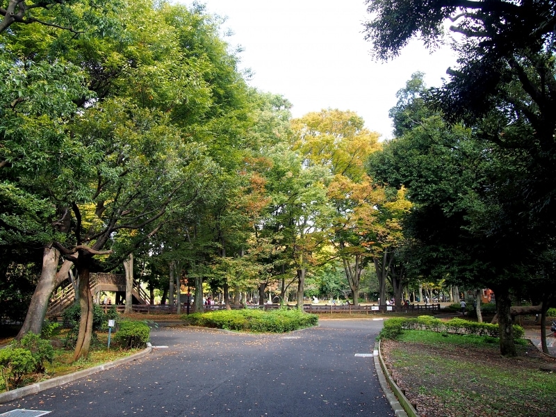 広くて、自然豊かな公園だ