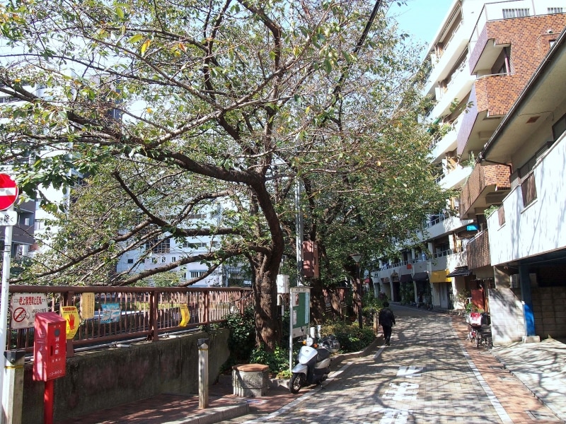 桜の季節は人でいっぱいになる