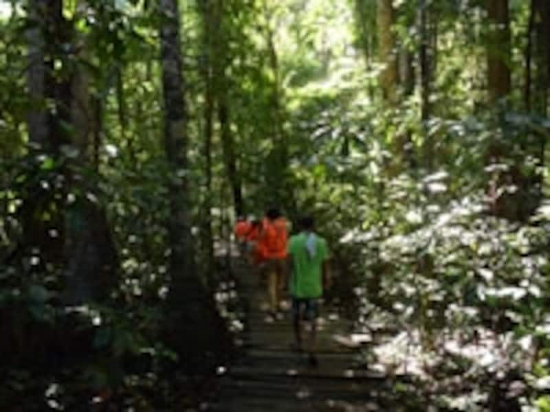 プエルトプリンセサ