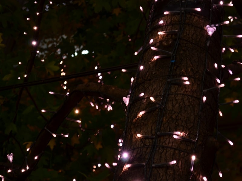 ミッキーマウスの形のイルミネーション