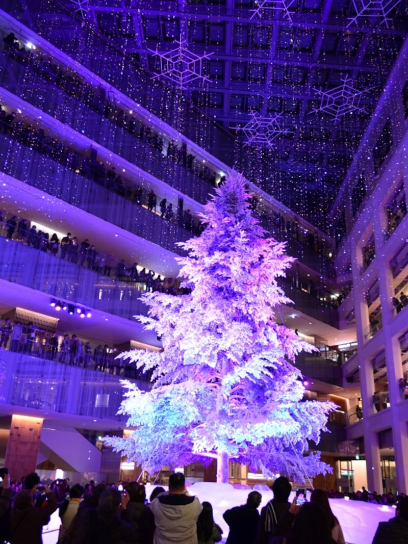 WHITEundefinedKITTEundefinedホワイトツリー