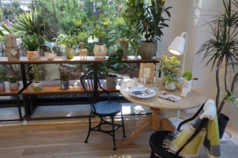 グリーンが並ぶコーナー