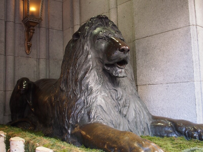 お客さんに体をなでられていた