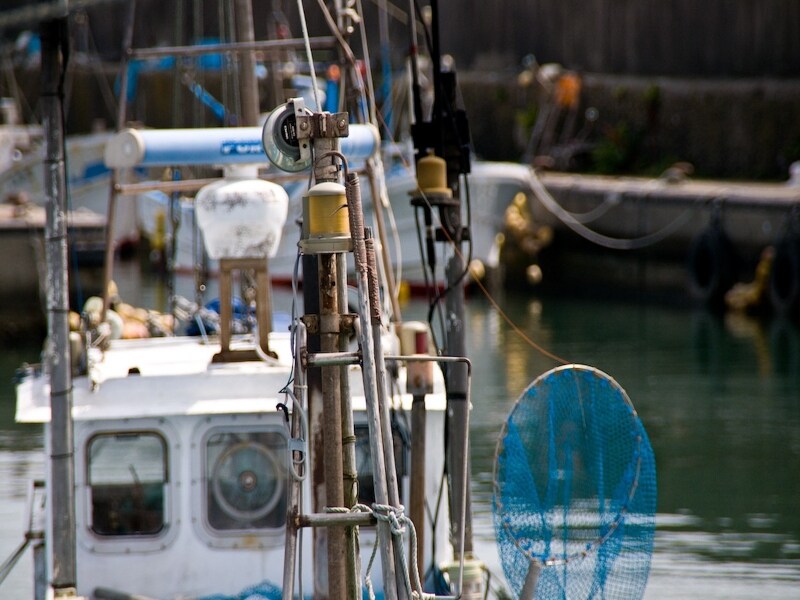 自分の船を持つか公務員になるか