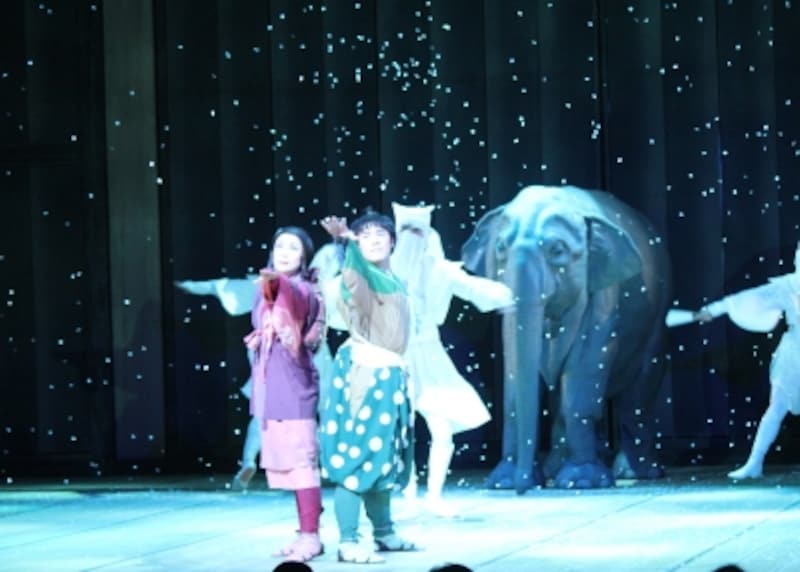 『むかしむかしゾウがきた』撮影：荒井健