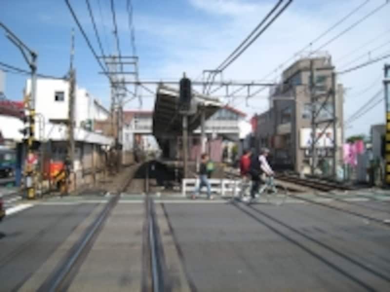 街の中では自転車で走り回る人の姿を多く見かけた。川の近くには坂があるものの、全体としては平坦な土地なので走りやすいはず