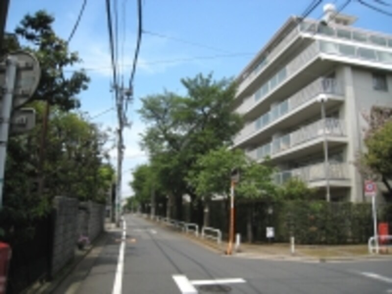 子どもの頃、しばしばこのエリアを訪れる機会があり、子ども心に静かできれいな街と思っていたもの。その印象は今も変わらない