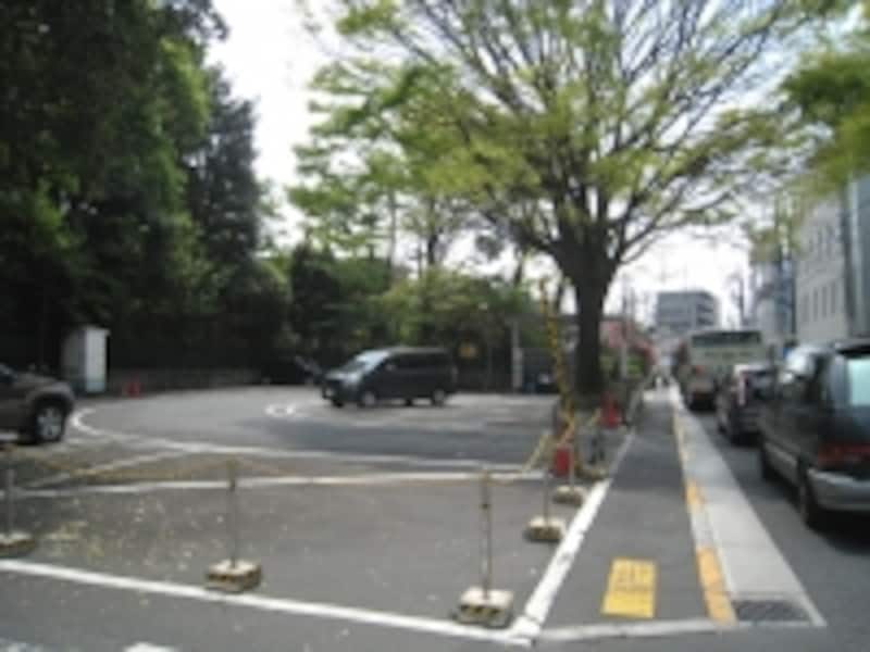 バス通り沿いに突如表れるうっそうとした森。緑の中には古いお屋敷などが残されている