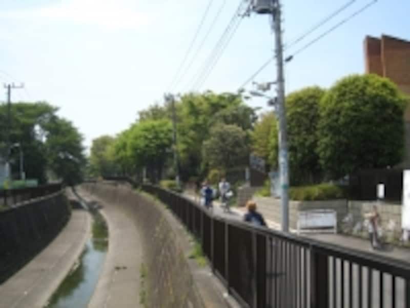 妙正寺川沿いにある鷺宮体育館。隣接してグラウンドもあり、奥は都営の団地となっている