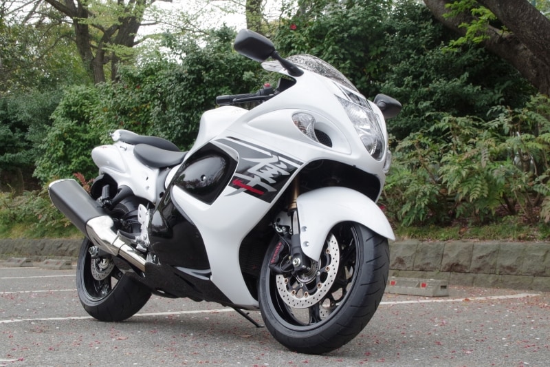 隼(ハヤブサ)フロントビュー