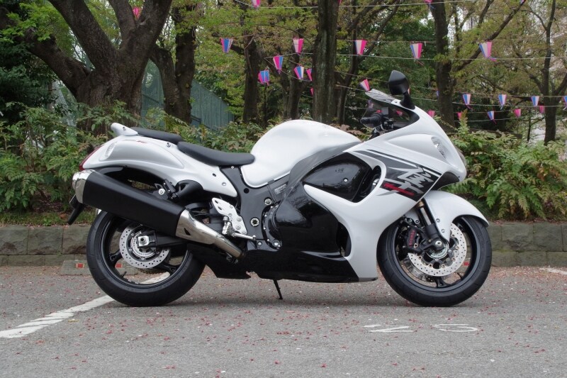 隼(ハヤブサ)サイドビュー