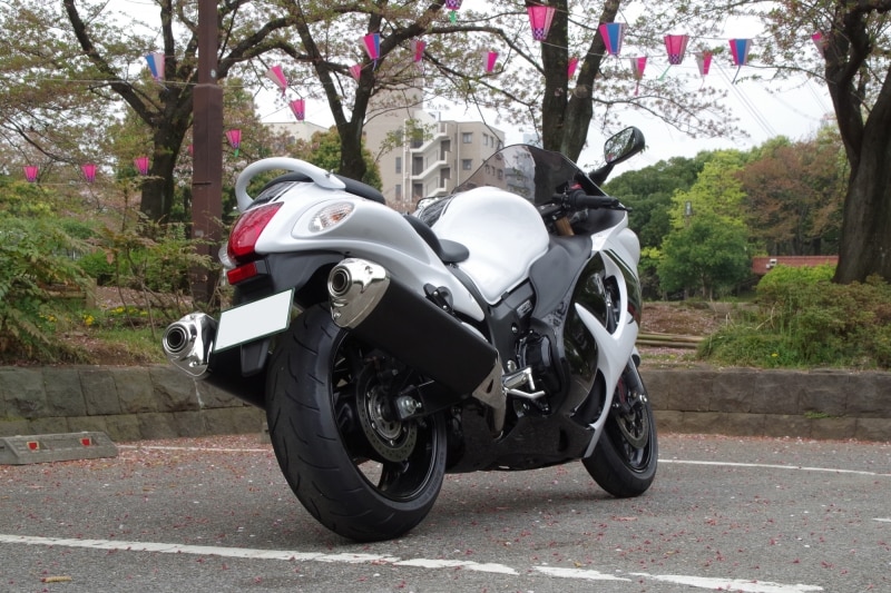 隼(ハヤブサ)リアビュー