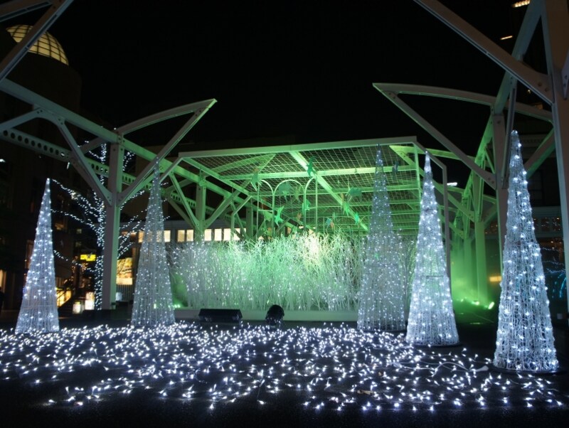 真っ白な森の世界