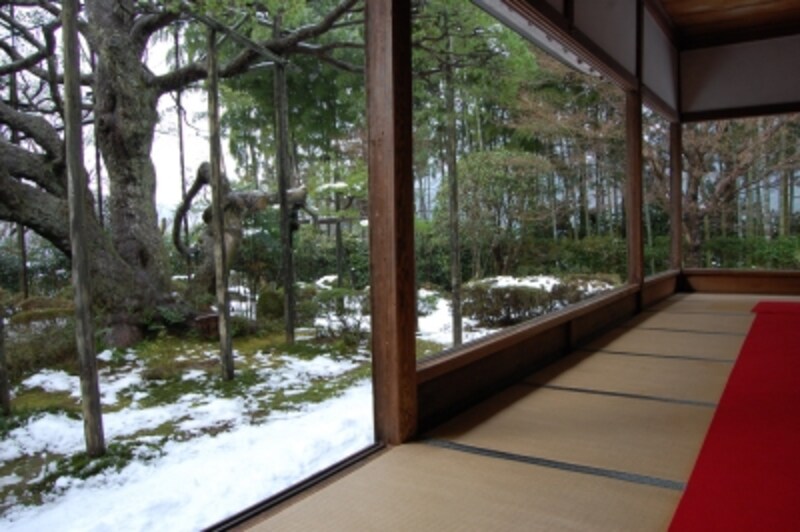 宝泉院の額縁庭園『盤桓園』