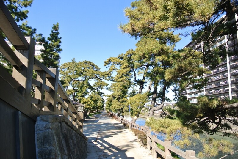 草加松原遊歩道