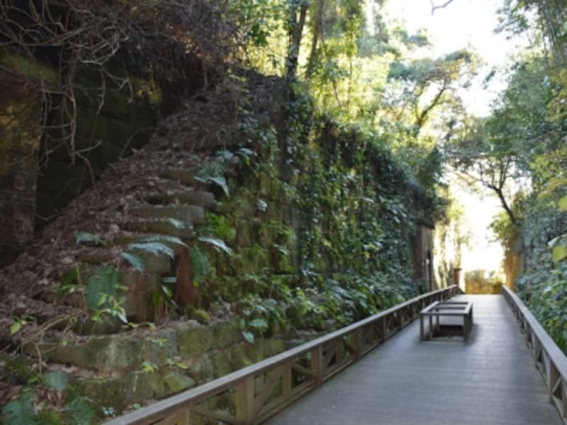 「猿島」の自然と人工がおりなす造形美