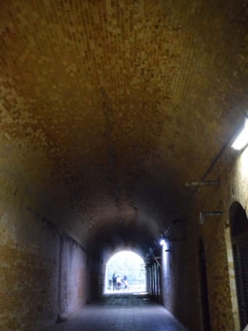 トンネル内部の美しいアーチ