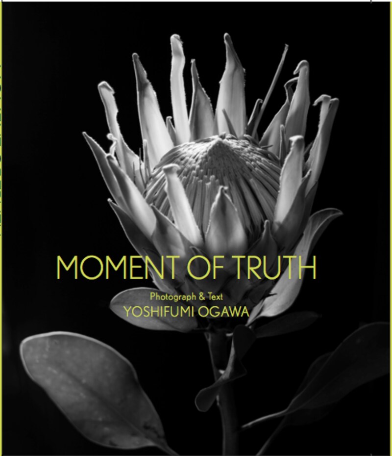 写真集『MOMENT OF TRUTH』の表紙。自然光だけで輝いた花を撮影している