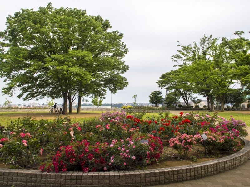 野毛山動物園に隣接している野毛山公園にあるサンクガーデン（2015年5月23日撮影）
