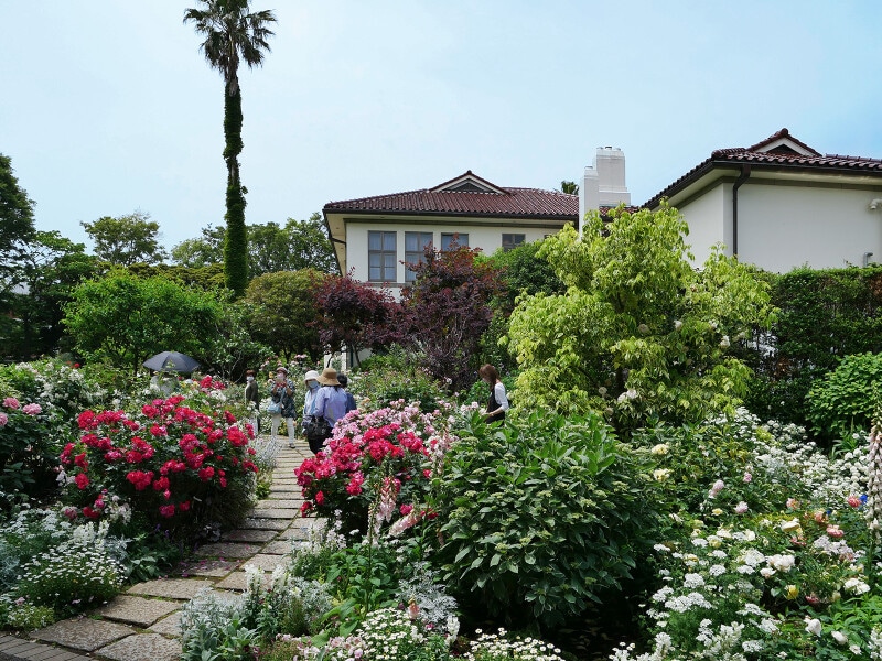 イギリス館裏庭はバラと多年草を組み合わせた「バラとカスケードの庭」（2021年5月14日撮影）