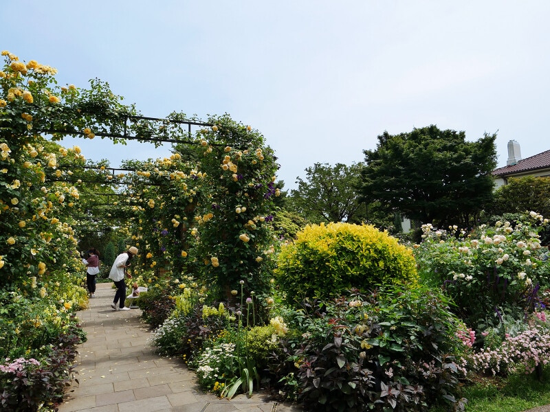 「イングリッシュローズの庭」ではバラのアーチが見事（2021年5月14日撮影）