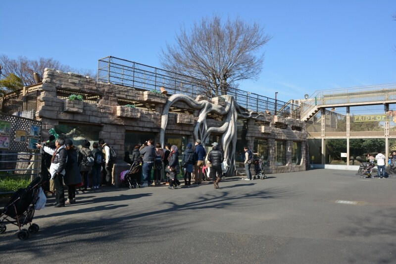 ガジュマルの樹をあしらったホワイトタイガー舎