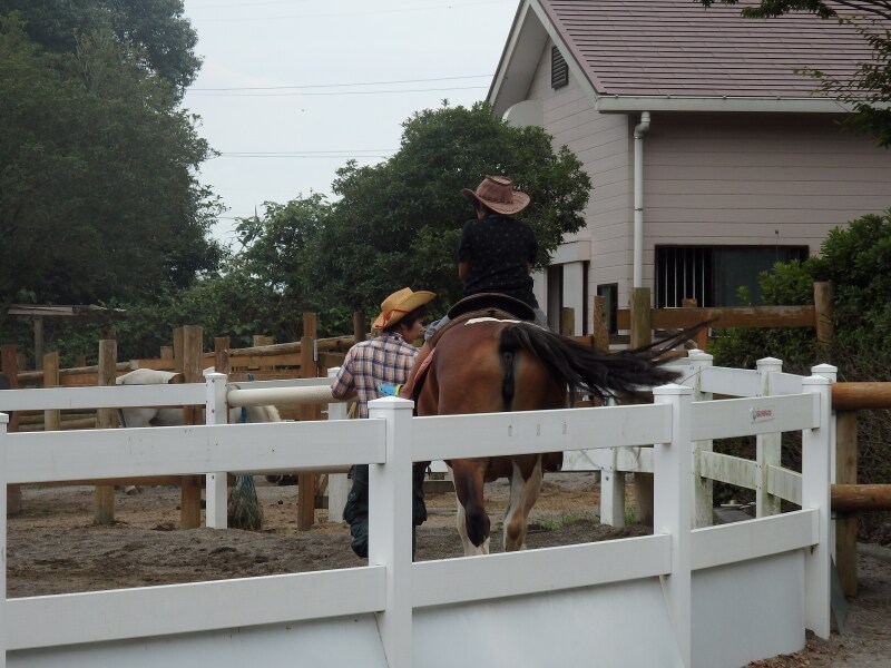 ポニー乗馬体験で動物とのふれ合い