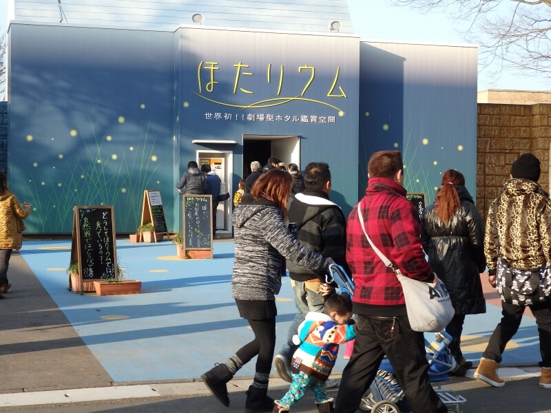 ホタルの光による幻想劇場「ほたリウム」