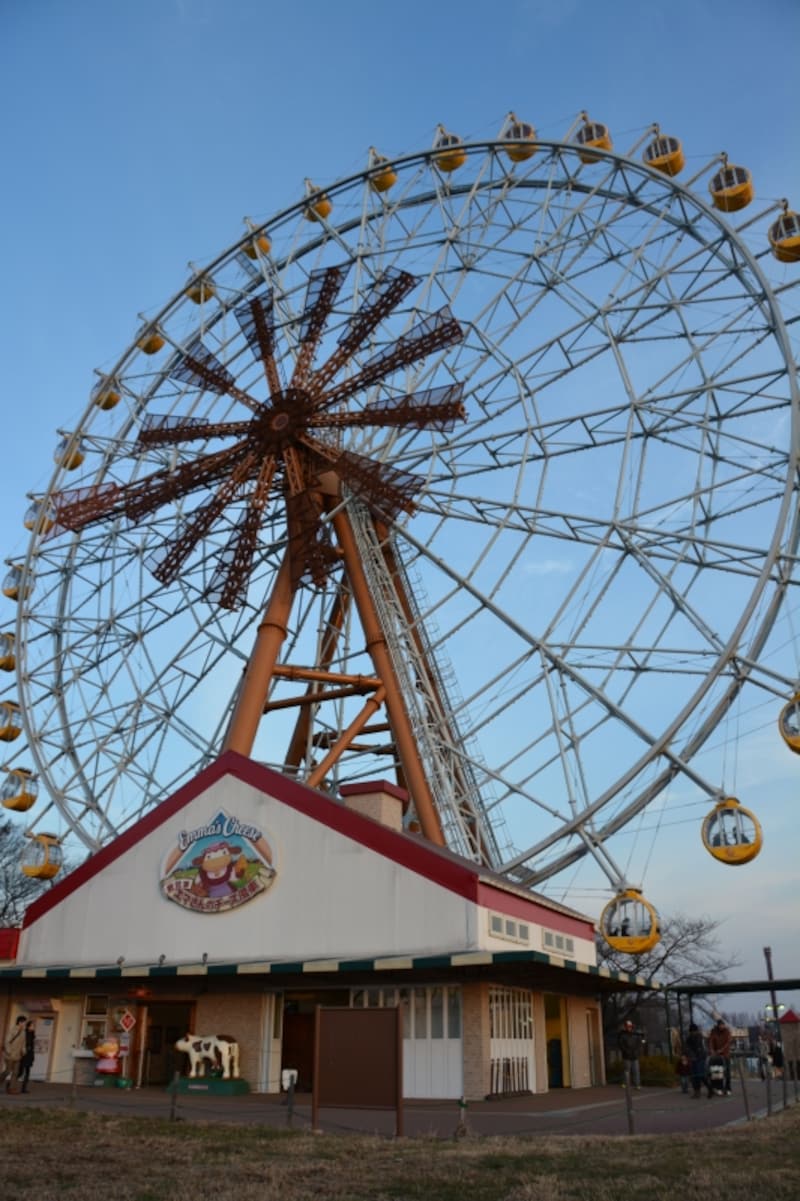 エマさんのチーズ風車