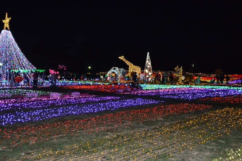 トッピー広場のウインターイルミネーション