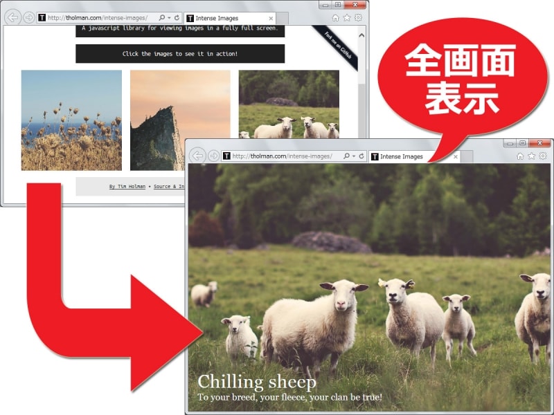 全画面で拡大画像を表示