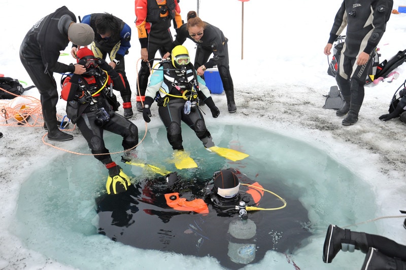 流氷ダイビング