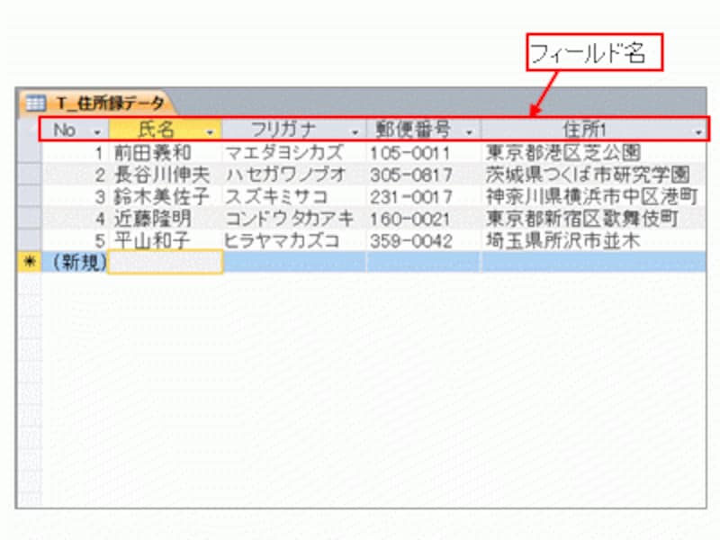 テーブルのフィールド