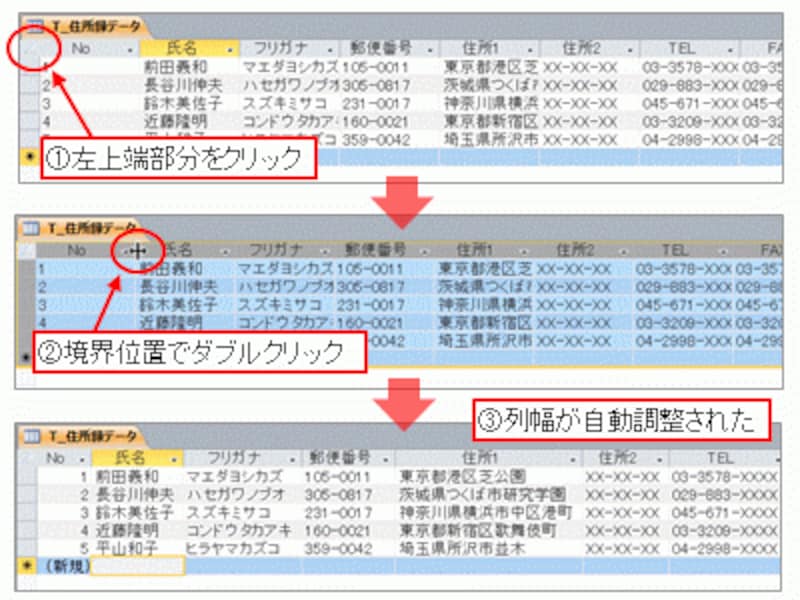 全てのフィールドの幅を自動調整