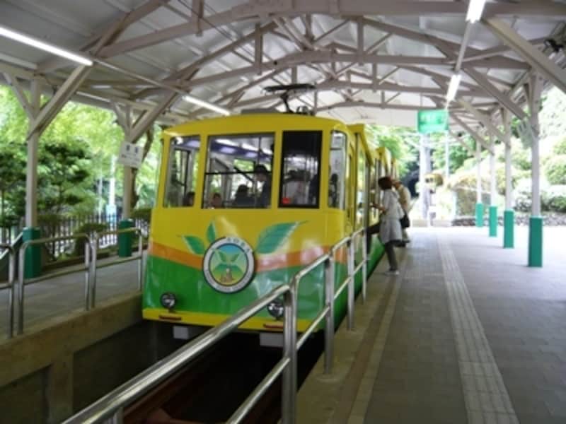 傾斜31度18分という急勾配を登るケーブルカー。驚いているうちに高尾山駅に到着してしまいます